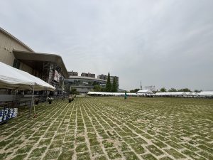 福山ばら祭